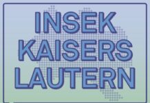 INSEK: Erneute Onlinebeteiligung ab 14. Mai