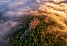 Eine mystische Reise durch den Pfälzerwald – Heimatfotos-Ausstellung in der Fruchthalle