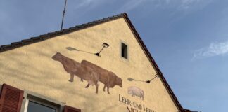 Transport von Nutztieren