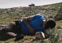 „No Other Land“ – Filmvorführung und Diskussion am 8. Mai an der RPTU