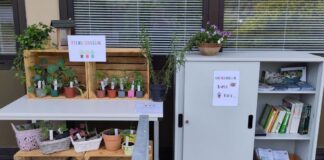 Grüne Vielfalt für Lambrecht – Pflanzenregal erneut in der PfalzAkademie