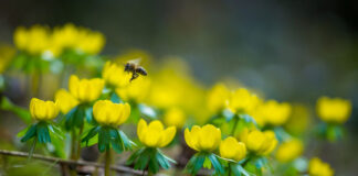 Gottesdienst am Ostermontag
