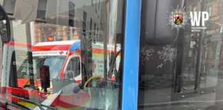 Fußgängerin von Bus erfasst