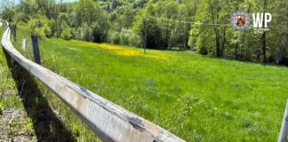 Schutzplanke beschädigt und abgehauen – Zeugen gesucht!