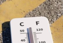 DAK-Gesundheit in Kaiserslautern schaltet Hitze-Hotline