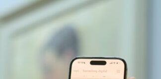 Das mpk macht seine Sammlungen digital erlebbar