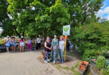 Nach 50 Jahren in bestem Zustand