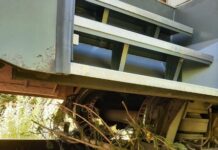 Zug kollidiert mit umgestürztem Baum