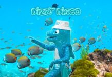 DIZZY DISCO, Kammgarn