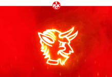 Neuer Anstrich für den FCK: Corporate Design und Website sind live