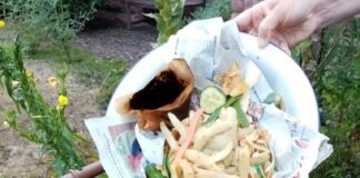 Bioabfall gehört ohne Kunststoffbeutel in die Biotonne