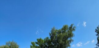 Langzeitprojekt RBGreen geht endlich in die Umsetzung