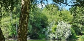 Eine grüne Oase feiert Geburtstag