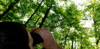 Forst im Dialog – Wie geht es unserem Wald?