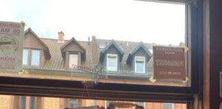 Auch in diesem Jahr wieder Projekte der kulturellen Bildung im Programm „CREACT“ der Globus-Stiftung