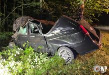 Bei Wildunfall Kontrolle über Wagen verloren