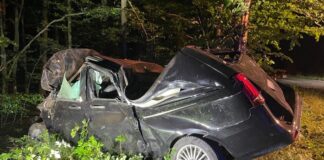 Bei Wildunfall Kontrolle über Wagen verloren