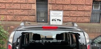 Mit Stein Heckscheibe eingeworfen – Zeugen gesucht!