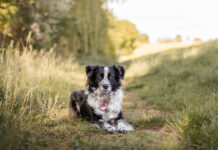 Abkühlung statt Hitzschlag