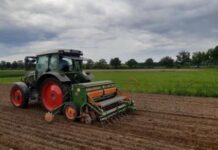 Einladung zur Fachveranstaltung: Fokus Zwischenfruchtanbau vor Mais