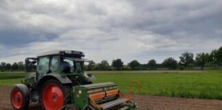 Einladung zur Fachveranstaltung: Fokus Zwischenfruchtanbau vor Mais