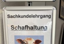 Seminare und Sachkunde über Schafe und Ziegen