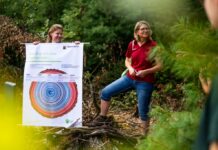 Waldführung – Wald der Zukunft