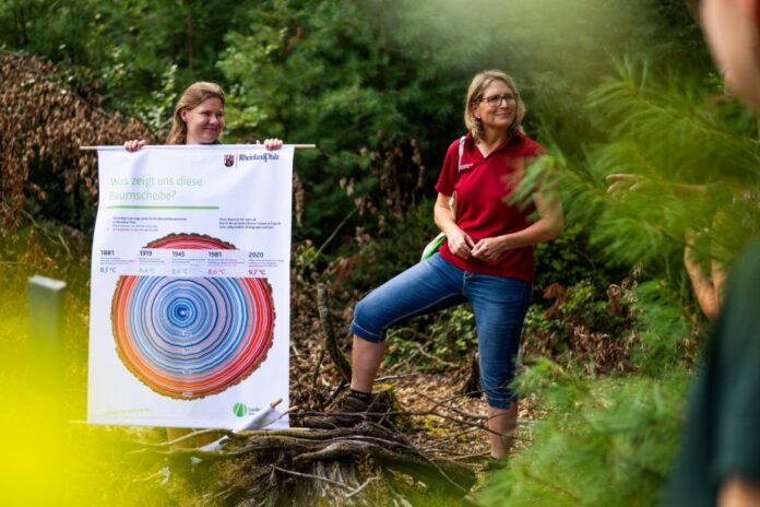 Klimawandelwanderung_Landesforsten.RLP.de__Luis_Wittmer