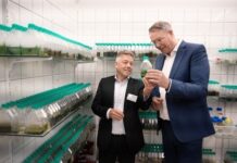 Mikroorganismen als Motor für nachhaltigen Strukturwandel