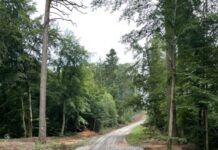 Forst im Dialog – Wasserrückhalt im Wald