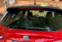 Wer hat den Seat gerammt? Zeugen gesucht!