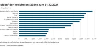 Pro-Kopf-Verschuldung von Land und Kommunen steigt Ende 2024 auf 9.400 Euro