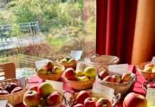 Marmeladenmarkt mit Bestimmung von Streuobstsorten