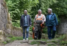 Gräfensteiner Holzrecht: Kostenloses Brennholz aus dem Wald