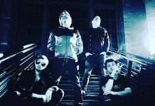 THE SEXY DRUGS, Kammgarn