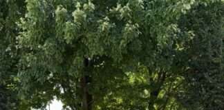 Erfolgsgeschichte am Campus Zweibrücken