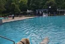 Nasse Pfoten im Warmfreibad