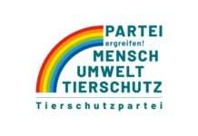 Tierschutzpartei kritisiert Pony-Karussell und Feuerwerk auf der Lautrer Oktober-Kerwe – „Tiere sind keine Volksfestattraktionen“