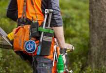 Forst im Dialog – Holzernte mit der Motorsäge