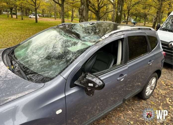 pol-pdkl-baum-st-rzt-auf-fahrzeugdach