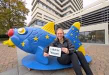 Neues innovatives Online-Portal „Lautrer Wissen“ von Herzlich digital bündelt Daten und Informationen über Kaiserslautern. Gewinnspiel mit Gutschein über 100 Euro zum Start.