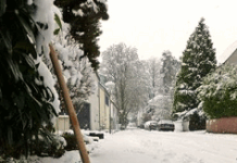 Räum- und Streupflicht im Winter