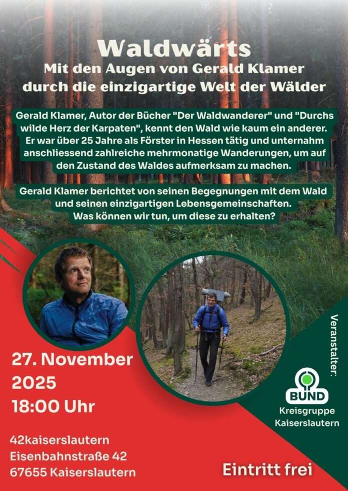 Waldwärts – eine Reise in die Stille der Natur (Notizblock (A6))