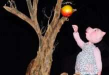 „Der Weihnachtsapfel“