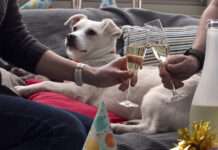 Gut geschützt, wenn es draußen zischt und knallt