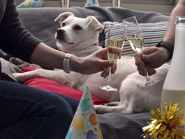 vcsPRAsset_3722489_213373_c2b79d2e-41fb-471c-bf2f-56def812b255_0