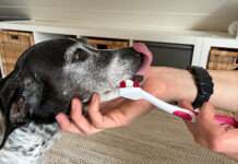 Weniger Stress, mehr Vertrauen