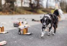 Gut geschützt, wenn es draußen zischt und knallt