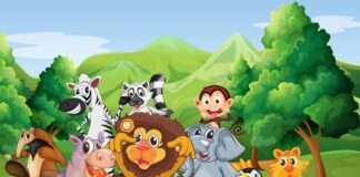 Karneval der Tiere – Kinder- und Familienkonzert in der Fruchthalle Kaiserslautern