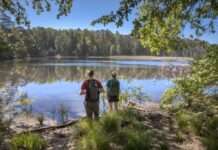 Biosphäre und Klima – Online-Vortrag zur Entwicklung des Pfälzerwaldes